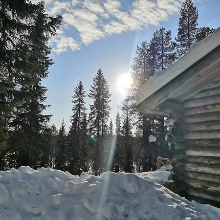 Mantytupa Lodge 索特 外观 照片